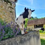 Mas Sarrat Lherm (Haute-Garonne)