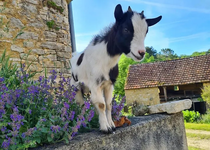 Mas Sarrat Lherm (Haute-Garonne)